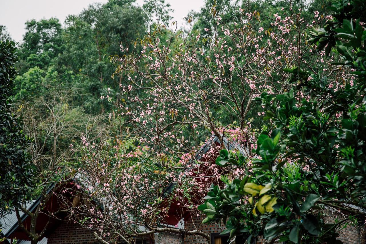 Cat Ba Spring Garden Homestay Hien Hao Exteriér fotografie